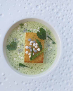 Lotte du lac et brochet en biscuit, bouillon d'oignon achillée et lierre terrestre