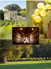 Présentation Château de Cruzeau