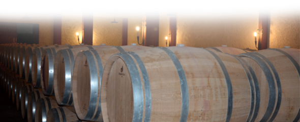 Chais château de Barbe Blanche