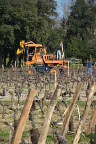 Château La Louvière 4