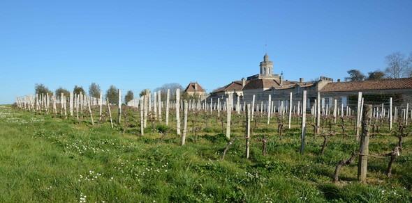 Château Bonnet et son vignoble