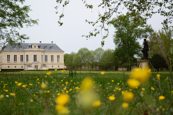 Château la Louvière - printemps 2015