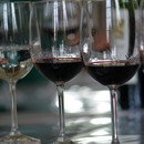 dégustation vin rouge