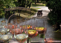 la Route des vins 