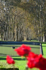 Parc château La Louvière