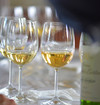 Verres blancs