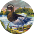 logo canard gras