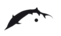 logo caviar Sturia 2