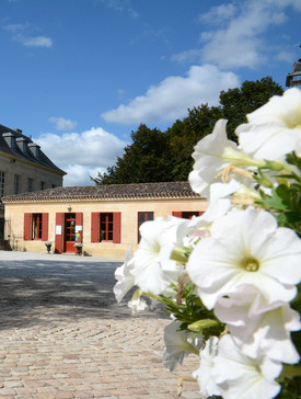 Boutique 1