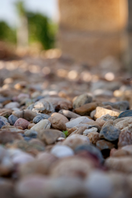 terroir de graves pessac-léognan
