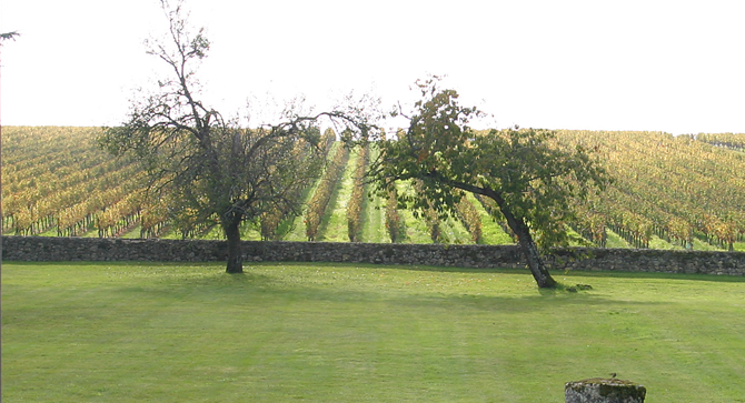 vignoble Entre-Deux-Mers